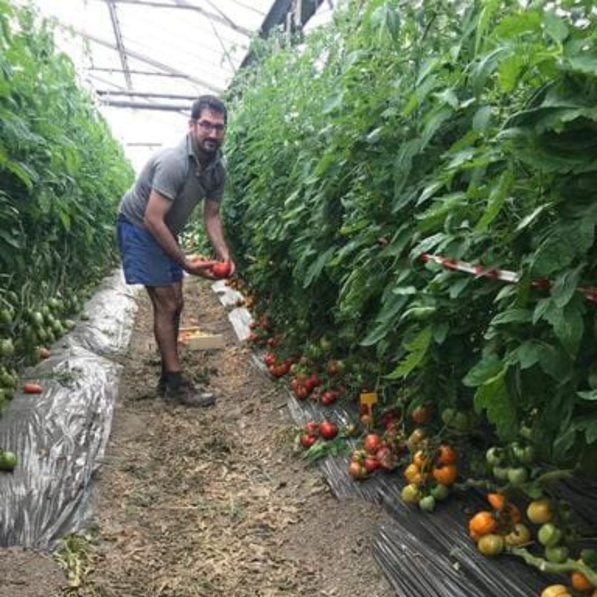 Ouvrier·e Agricole Qualifié·e horticulture
